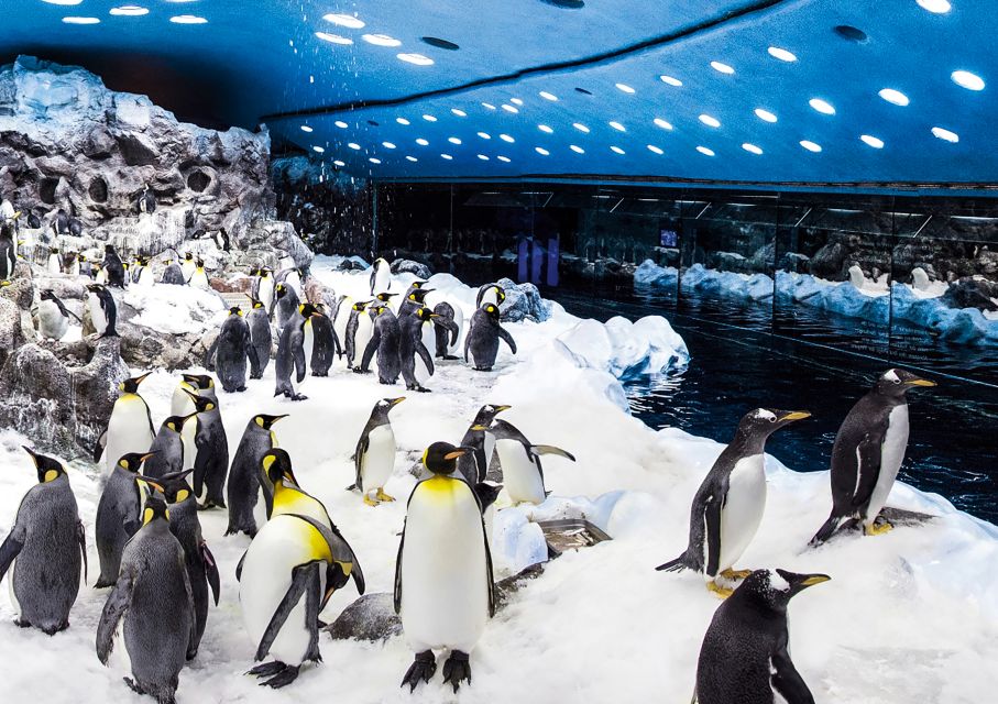 Loro parque