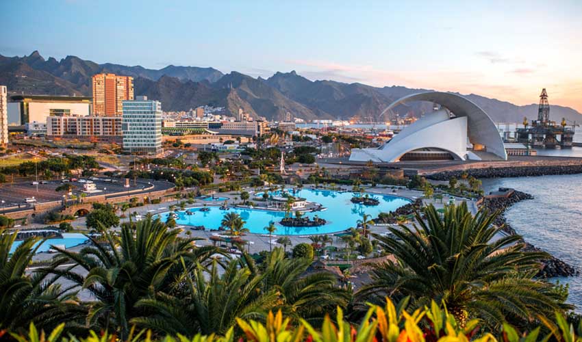 canaries que faire