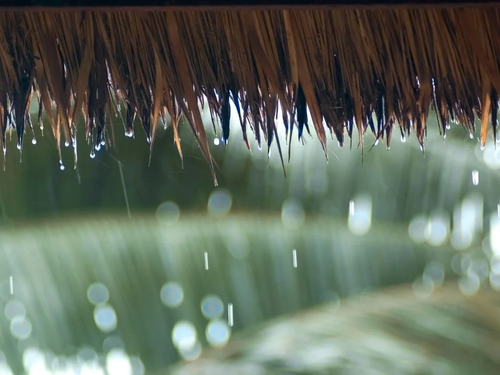 saison des pluies thailande