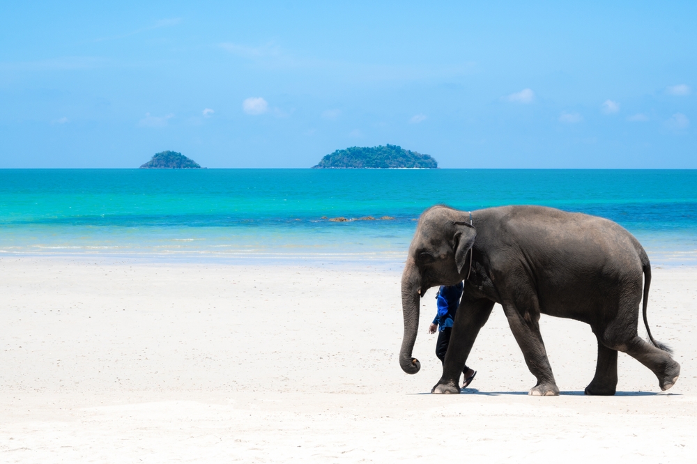 Koh Chang thailande